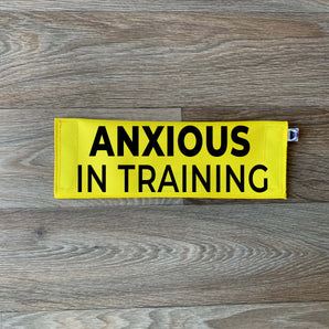 Anxious - In Training
