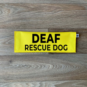 Deaf Rescue Dog