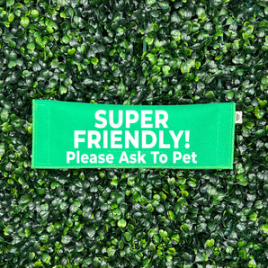 Super Friendly - Please Ask To Pet