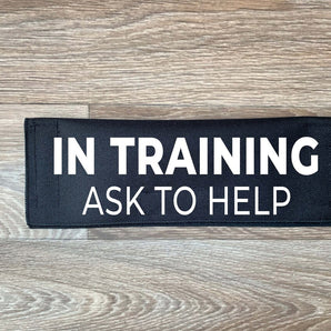 In Training - Ask To Help