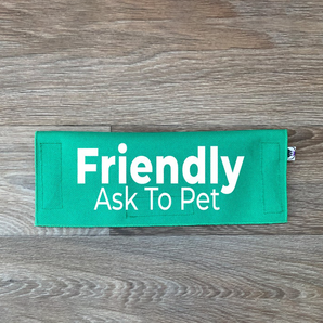 Friendly - Ask To Pet