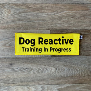 Dog Reactive - Training In Progress