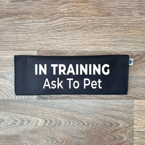 In Training - Ask To Pet