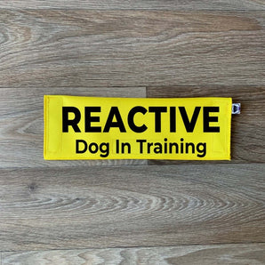Reactive - Dog In Training