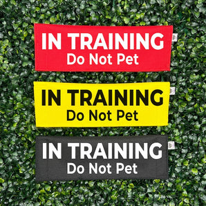 In Training - Do Not Pet
