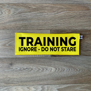 Training - Ignore - Do Not Stare