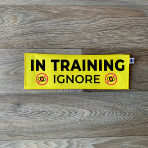 In Training - Ignore (with icons)