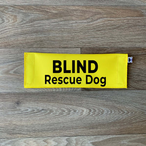 Blind Rescue Dog