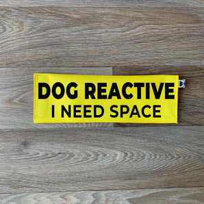 Dog Reactive - I Need Space