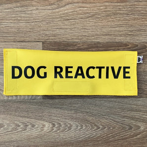 Dog Reactive