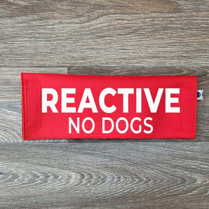 Reactive - No Dogs
