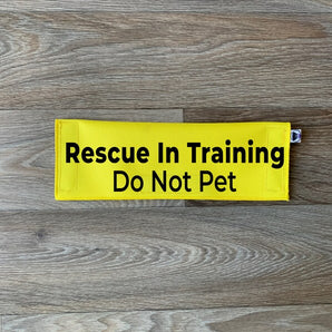 Rescue In Training - Do Not Pet