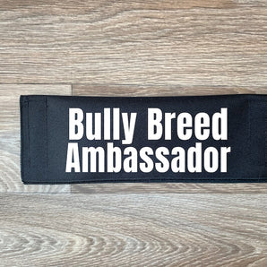 Bully Breed Ambassador