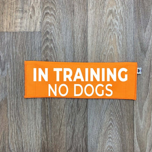 In Training - No Dogs